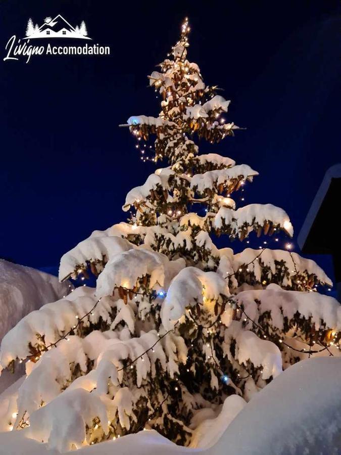 Alpen Royal By Livigno Accomodation Екстериор снимка